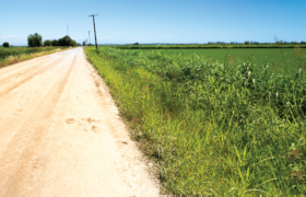 Building a Low Cost Farm Road in Nigeria